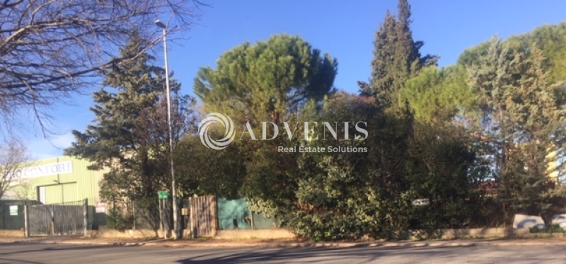 Location Commerces SAINT JEAN DE VEDAS (34430) - Photo 2