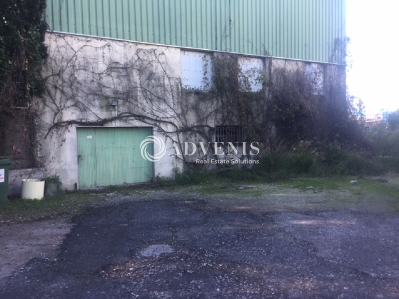 Location Commerces SAINT JEAN DE VEDAS (34430) - Photo 6