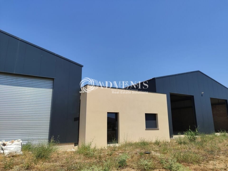 Location Bureaux SAUVIAN (34410) - Photo 1