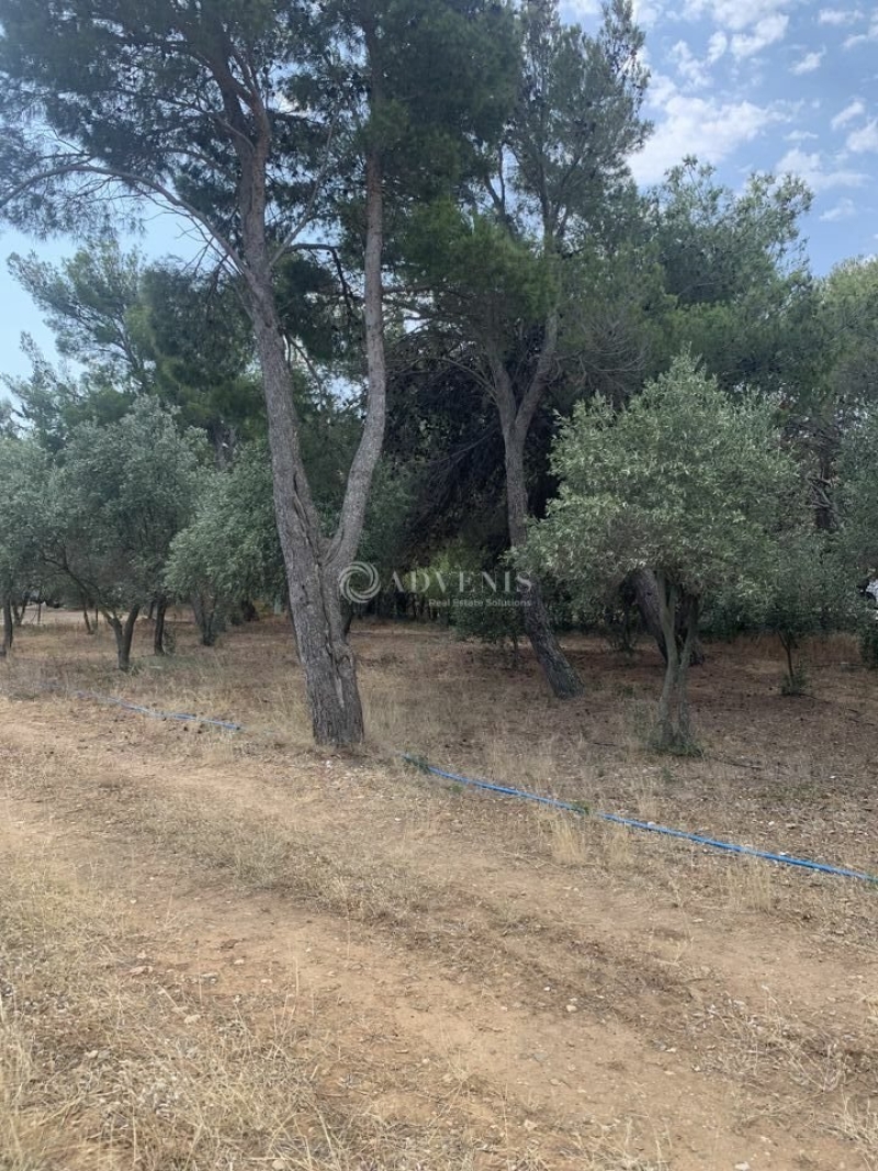 Vente Investisseur Terrain NARBONNE (11100) - Photo 1