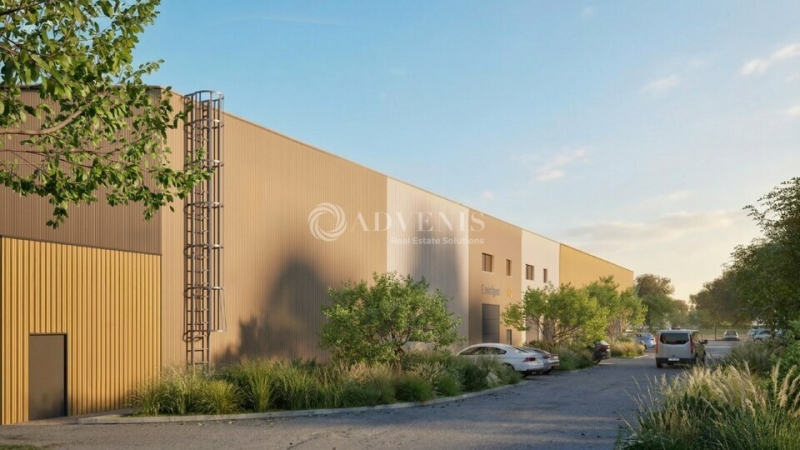 Vente Investisseur Activités Entrepôts MARAUSSAN (34370) - Photo 3