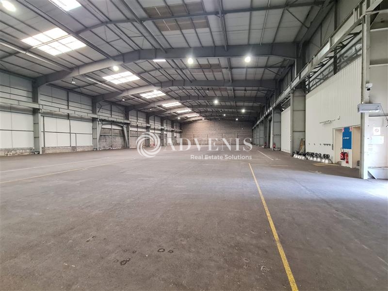 Location Entrepôts PLOUFRAGAN (22440) - Photo 1