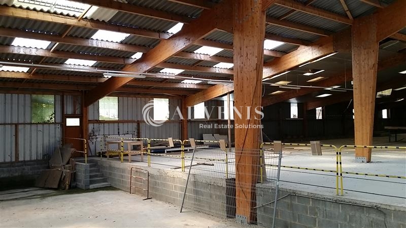 Location Entrepôts TONQUEDEC (22140) - Photo 4