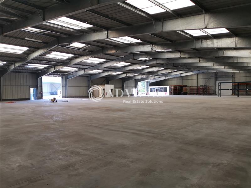 Location Activités Entrepôts BETTON (35830) - Photo 1