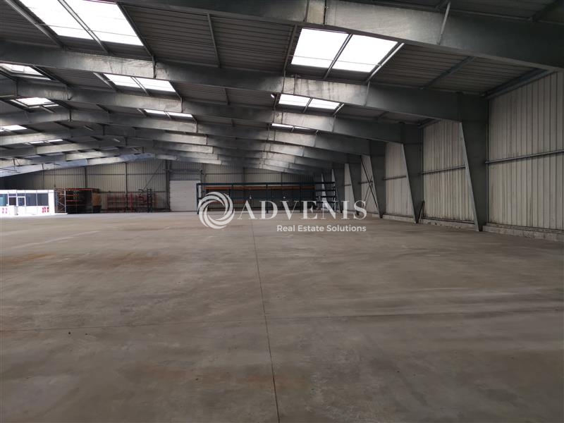 Location Activités Entrepôts BETTON (35830) - Photo 3