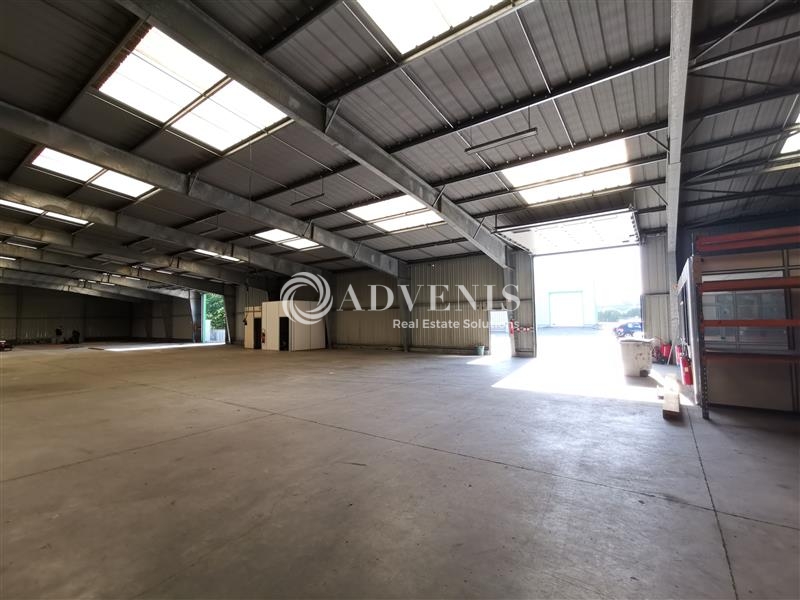 Location Activités Entrepôts BETTON (35830) - Photo 5