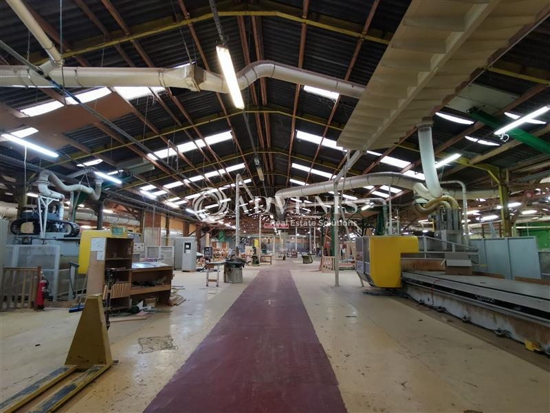 Vente Utilisateur Activités Entrepôts LANGUENAN (22130) - Photo 1