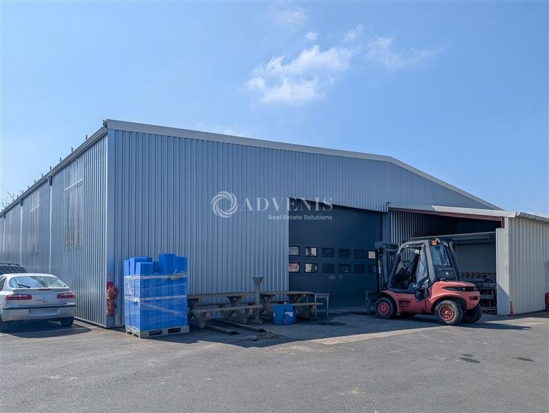 Vente Investisseur Activités Entrepôts PLOUFRAGAN (22440) - Photo 5