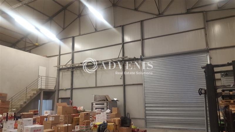 Location Activités Entrepôts LE RHEU (35650) - Photo 3