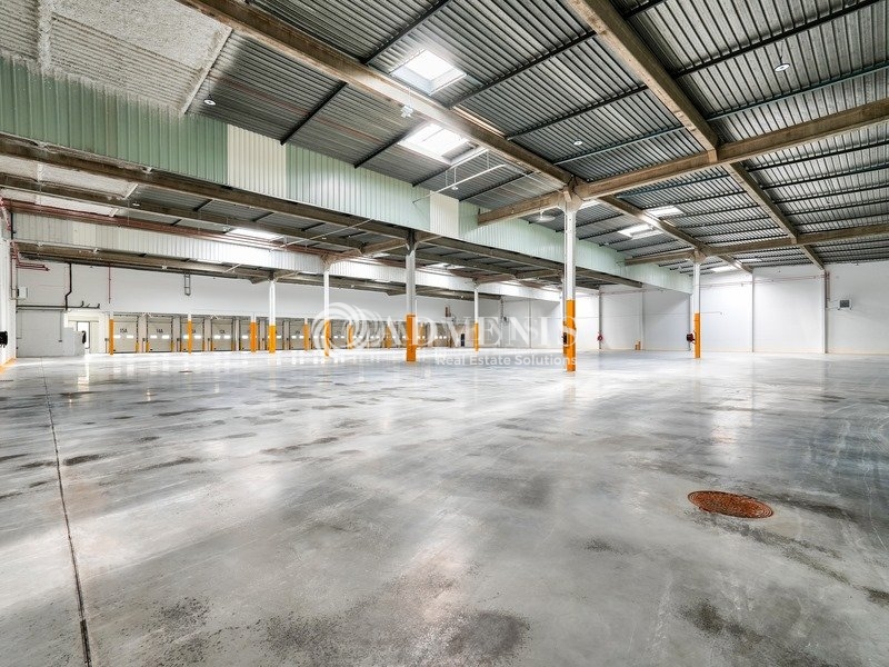 Location Entrepôts TRAPPES (78190) - Photo 6
