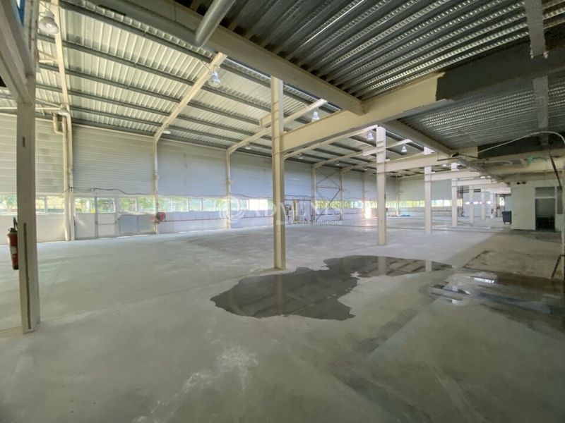 Location Activités Entrepôts BOIS D'ARCY (78390) - Photo 3