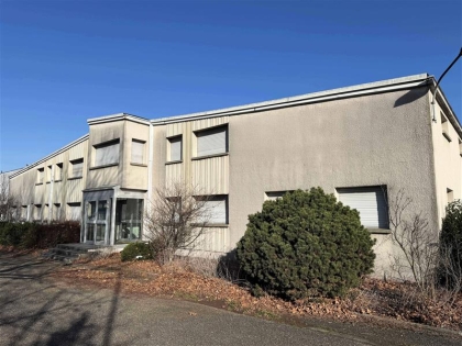 Advenis RES - Immobilier d'entreprises