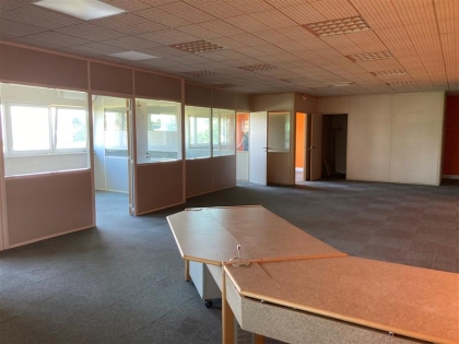 Advenis RES - Immobilier d'entreprises