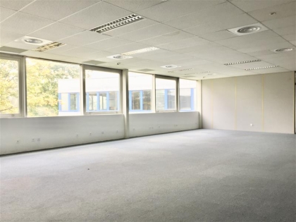 Location Bureaux SCHILTIGHEIM - Photo 3