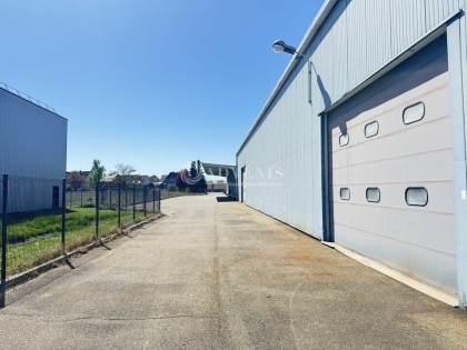 Advenis RES - Immobilier d'entreprises