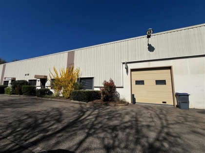 Advenis RES - Immobilier d'entreprises