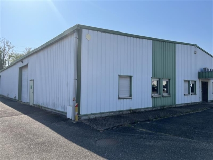 Advenis RES - Immobilier d'entreprises