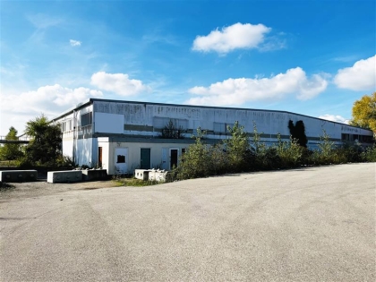 Location Activités Entrepôts FEGERSHEIM - Photo 1