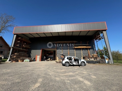 Advenis RES - Immobilier d'entreprises