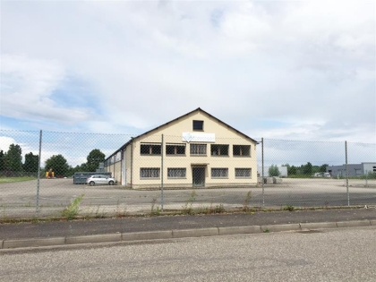 Location Activités Entrepôts ERNOLSHEIM BRUCHE - Photo 3