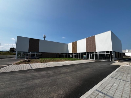 Location Activités Entrepôts SELESTAT - Photo 1