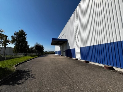 Advenis RES - Immobilier d'entreprises