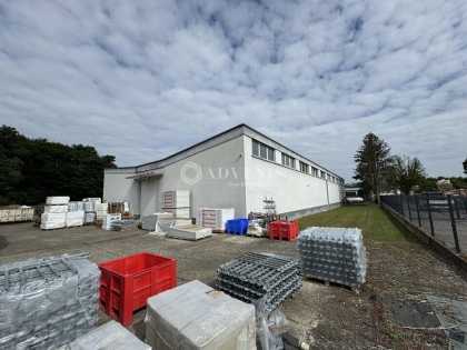 Advenis RES - Immobilier d'entreprises