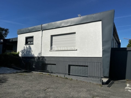 Advenis RES - Immobilier d'entreprises