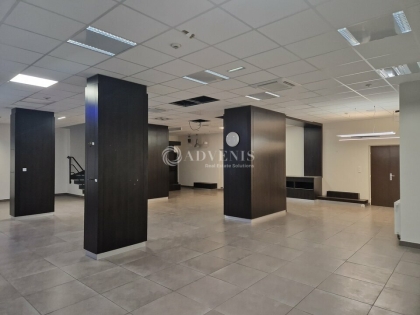 Advenis RES - Immobilier d'entreprises