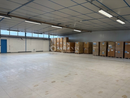 Advenis RES - Immobilier d'entreprises