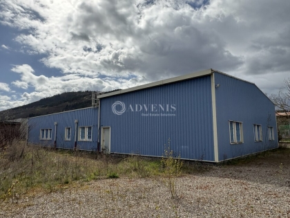Advenis RES - Immobilier d'entreprises