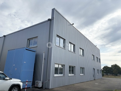 Advenis RES - Immobilier d'entreprises