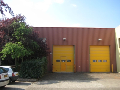Advenis RES - Immobilier d'entreprises
