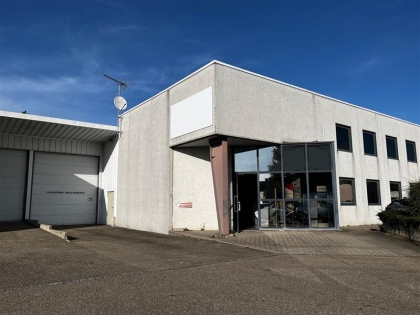 Location Activités Entrepôts MUNDOLSHEIM - Photo 1