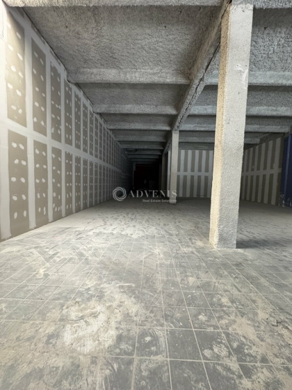 Advenis RES - Immobilier d'entreprises