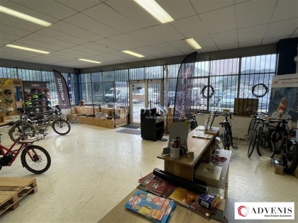 Advenis RES - Immobilier d'entreprises
