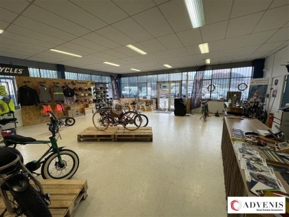 Advenis RES - Immobilier d'entreprises