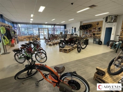 Advenis RES - Immobilier d'entreprises