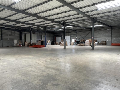 Advenis RES - Immobilier d'entreprises