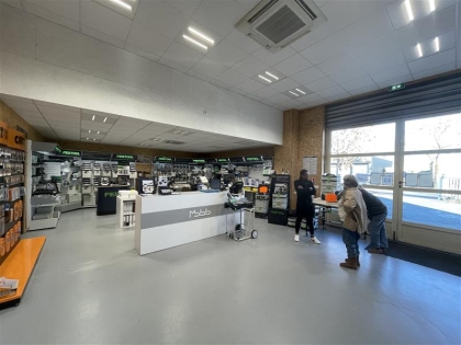 Advenis RES - Immobilier d'entreprises