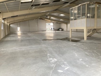 Advenis RES - Immobilier d'entreprises