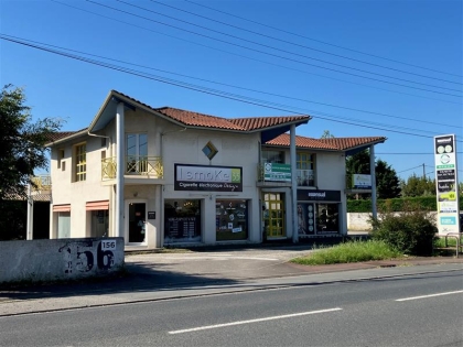 Advenis RES - Immobilier d'entreprises