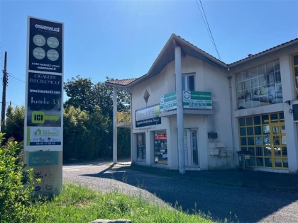 Advenis RES - Immobilier d'entreprises