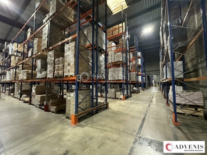 Advenis RES - Immobilier d'entreprises