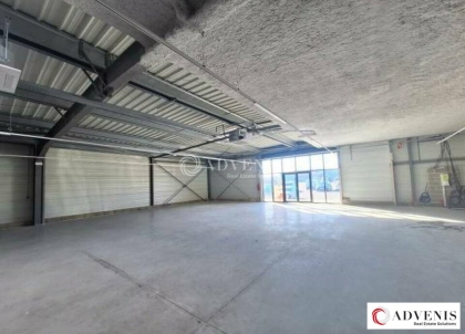 Advenis RES - Immobilier d'entreprises