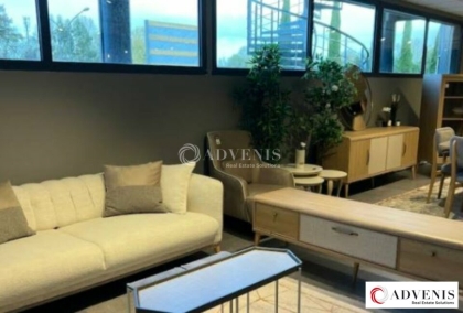 Advenis RES - Immobilier d'entreprises