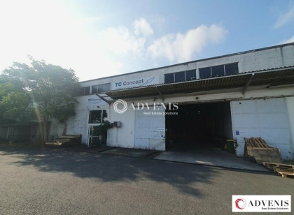 Advenis RES - Immobilier d'entreprises