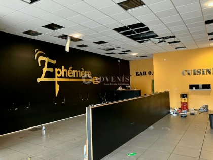 Advenis RES - Immobilier d'entreprises