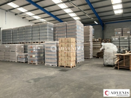 Advenis RES - Immobilier d'entreprises