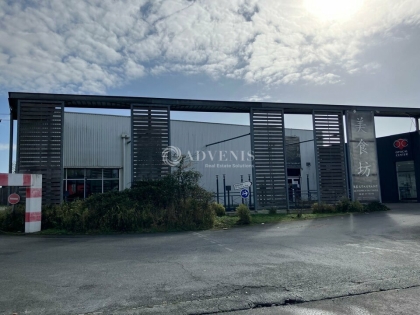 Advenis RES - Immobilier d'entreprises
